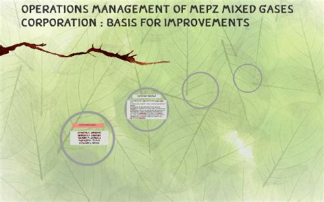 Operations Management of MEPZ Mixed Gases Corporation : Basi.